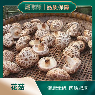 丽水山耕伊然好庆元特产菌菇菌类汤料干货香菇花菇包煲汤食材