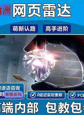 三角PC端游洲物资价格透明主播同款内部辅助雷达寻宝鼠稳定护航中