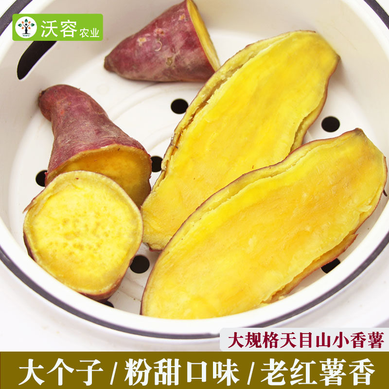 板栗口感大规格小香薯新鲜红薯