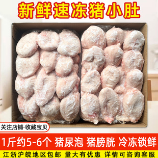 新鲜猪小肚  生鲜冷冻猪小肚 尿泡 小肚 江浙沪皖包邮20斤青莲