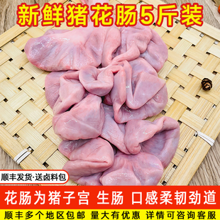 猪花肠猪小肠生肠儿肠菊花脆肠串串火锅菜品烧烤食材五斤装