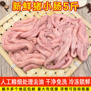新鲜精品生猪小肠火锅烧烤食材猪舌头菊花脆肠白水肥肠5斤料包