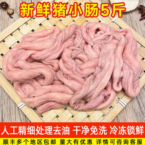 新鲜冷冻猪小肠苦肠无水