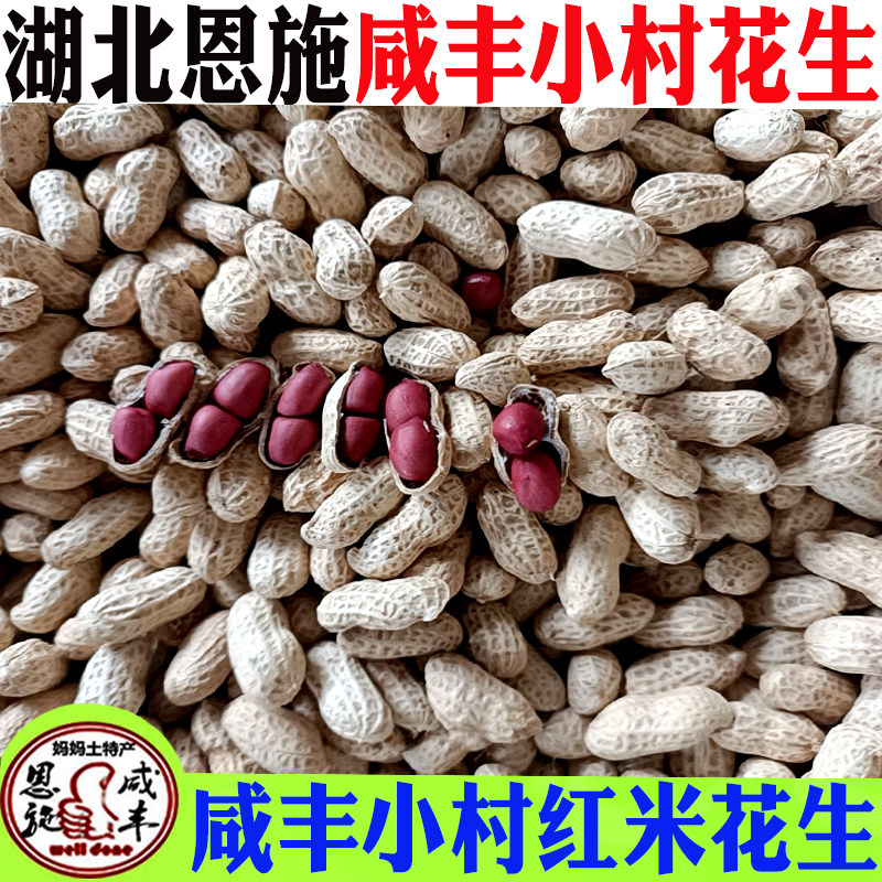 湖北恩施咸丰小村红米花生正宗咸丰小村红米带壳花生特产