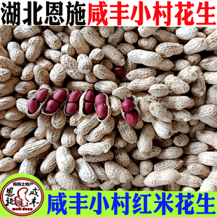 湖北恩施咸丰小村红米花生正宗咸丰小村红米带壳花生特产