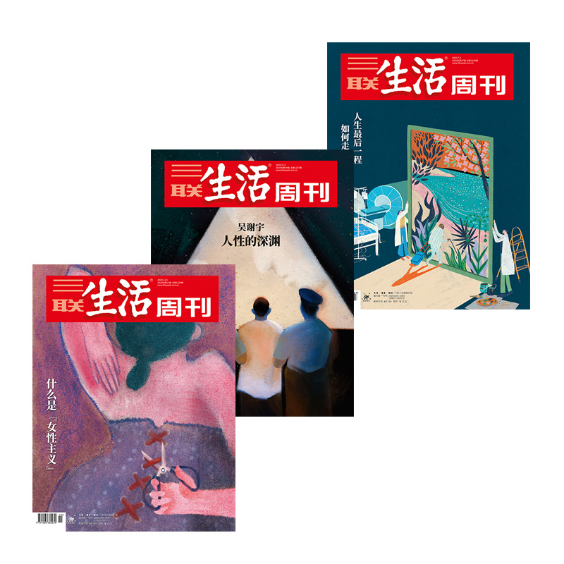 三联生活周刊杂志组合 2023年第29期 吴谢宇人性的深渊+2023年第11期 什么是“女性主义”+2023年第27期 人生最后一程如何走得安宁 书籍/杂志/报纸 期刊杂志 原图主图