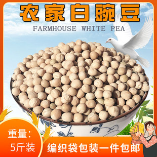 包邮优质白玉豌豆幼鸽粮食信鸽肉鸽蛋白幼鸽子食物纯豌豆鸽粮5斤