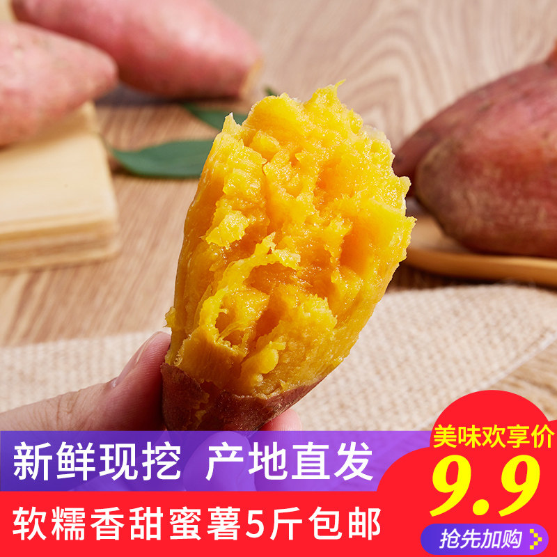 新鲜红薯5斤沙地蜜薯农家香甜薯板栗黄红心烤地瓜小番薯糖心山芋