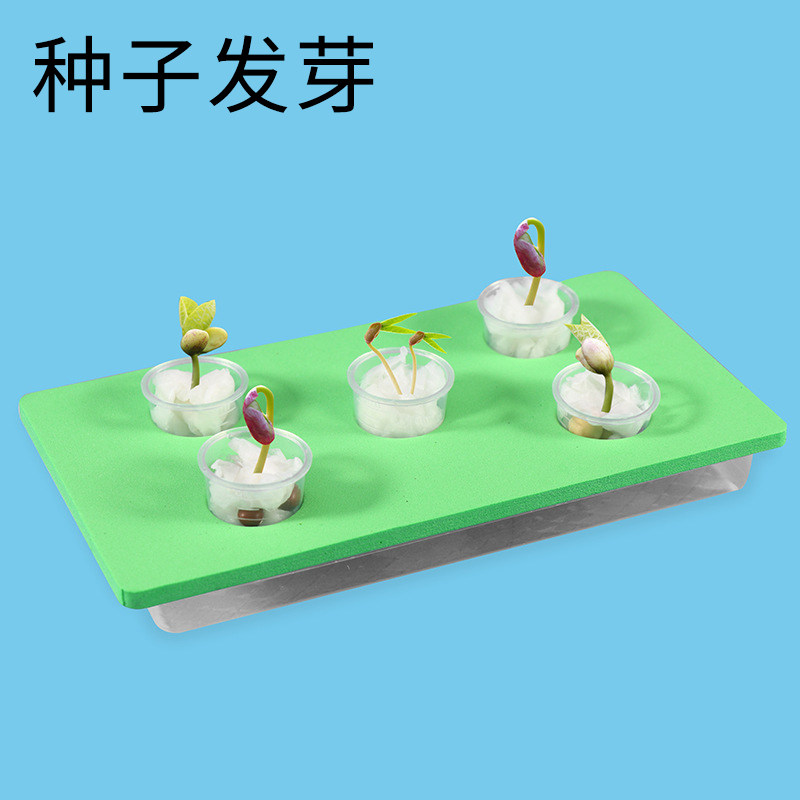 儿童创意科学小制作幼儿园小手工科技DIY科普实验材料包种子发芽