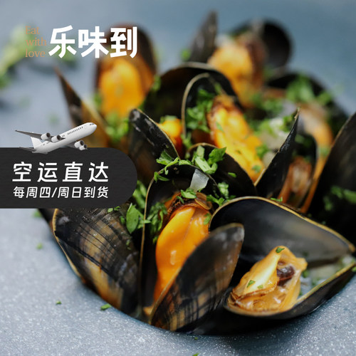 法国空运圣米歇尔山蓝口贝700g
