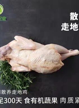 崇明有机农场1200g左右芦花鸡