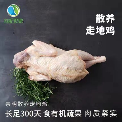 万禾农业 崇明 有机农场散养芦花鸡 土鸡 足年煲汤1200g左右