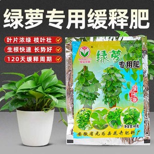 绿萝专用复合肥环保有机颗粒缓释肥绿萝植物控释型长效肥抗病抗虫