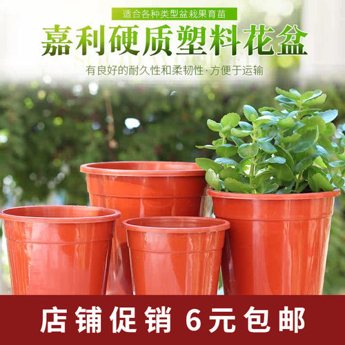 园艺用品花卉环保排水透气育苗盆