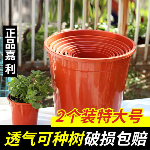 园艺用品花卉环保排水透气育苗盆