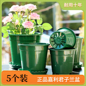 天津嘉利花盆塑料君子兰专用盆二代加仑控根盆加厚耐用加深硬花盆