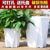 加厚耐用亮面钻石盆塑料无孔套盆水培花盆天堂鸟发财树大口径花盆