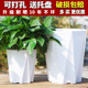 加厚耐用亮面钻石盆塑料无孔套盆水培花盆天堂鸟发财树大口径花盆