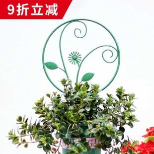 绿植花卉护花支架园艺盆栽创意造型爬藤架铁线莲植物专用圆形花架