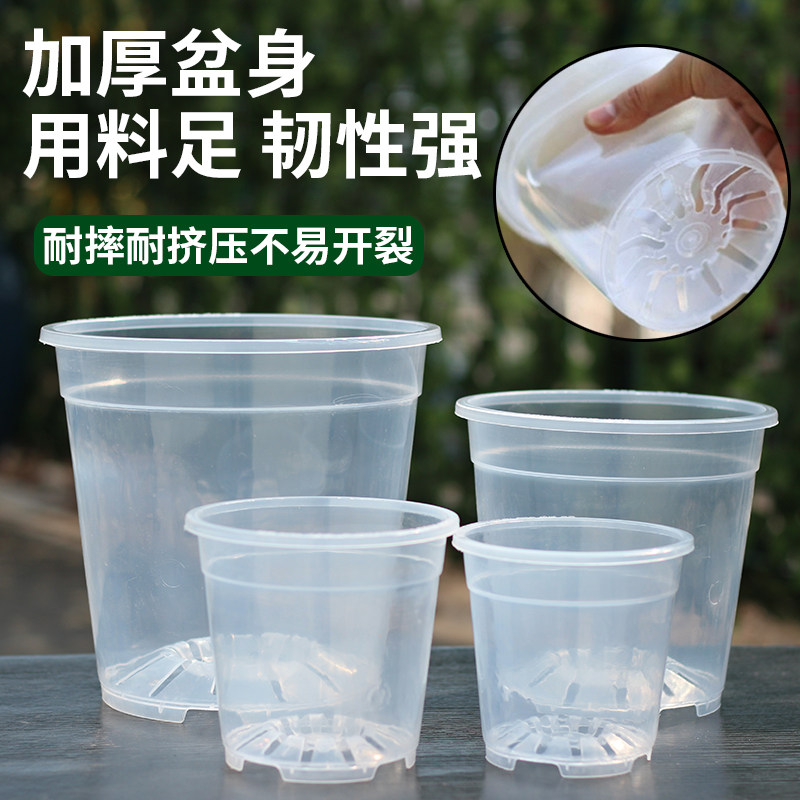 加厚塑料花盆圆形透明控根盆空气柱透气花盆蝴蝶兰专用花盆育苗盆