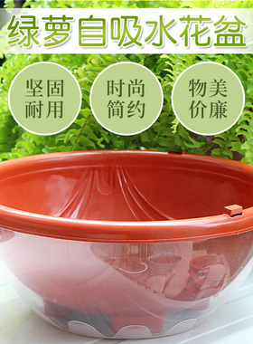 绿萝花盆储水盆双层树脂套盆塑料兰花盆圆形吊挂自吸水花盆懒人盆
