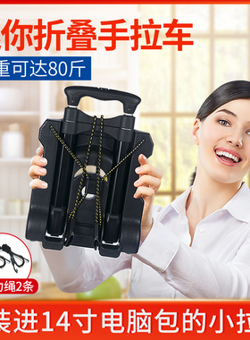 购物车拉杆推车折叠便携行李手拉车轻便拉货拖车家用买菜车小拉车