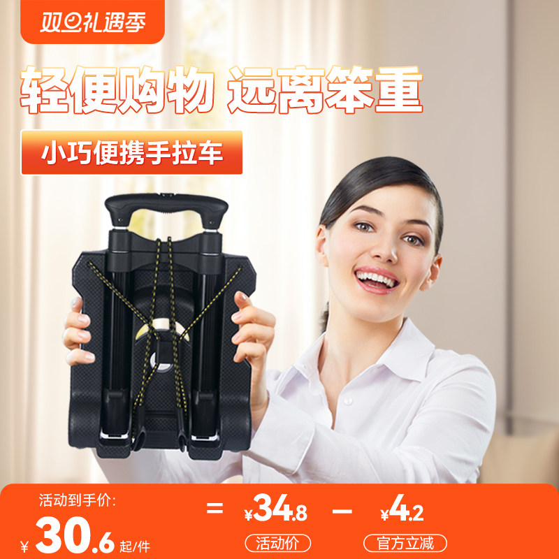 折叠便携行李家用买菜车拉杆