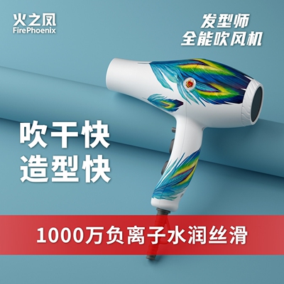火之凤吹风机发型师专用理发店发