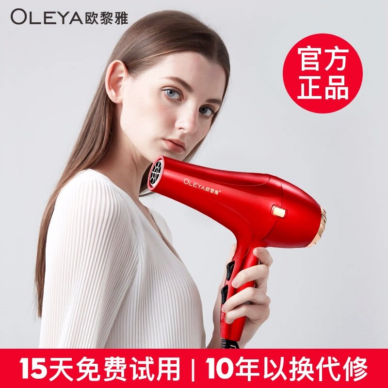 电吹风发廊家用大功率理发店蓝光