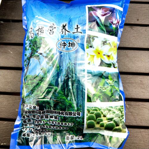 多肉土花卉种植阳台绿萝盆栽