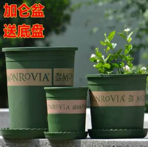 加仑盆英伦风树脂好看