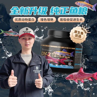 豆鱼路亚豆爸先生DY-2吉罗鱼饲料