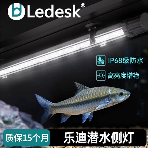 乐迪灯条灯观赏灯照明灯吉罗鱼灯
