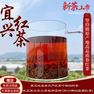 宜兴红茶新茶阳羡红茶老品种宜兴春茶浓香耐泡正宗老树种本地红茶