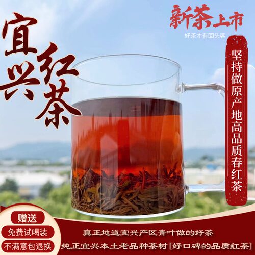 宜兴红茶新茶阳羡红茶老品种宜兴春茶浓香耐泡正宗老树种本地红茶