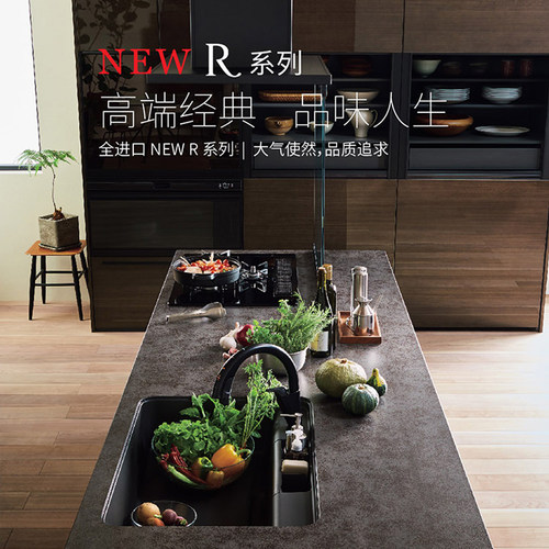 骊住厨房日本全进口整体厨柜套装