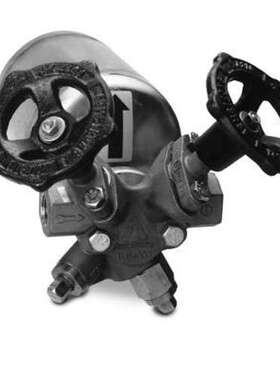 美国Armstrong阿姆斯壮疏水阀FT-4225 TVS-4300 TVS-4465 IS-2