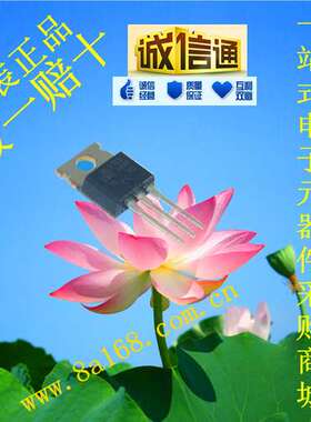 现货供应IRL2703PBF/ MOS管/场效应管/IGBT 原装正品