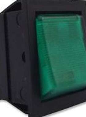 现货ARCOLECTRIC/C1353ALNAF船型开关 DPST带指示灯绿色原装正品