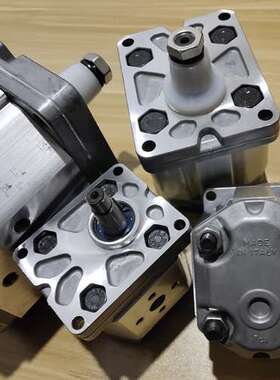 迪普马DUPLOMATIC齿轮泵1P4.2R11N 1P5R11N高压油泵