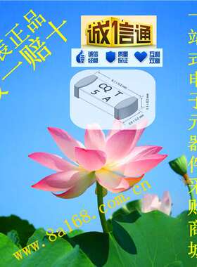 现货供应CONQUER/功得 CQ24LT001 1A350V 慢断保险丝 2410规格