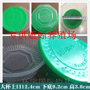 厂家直供蚯蚓盒大杯蚯蚓养殖包装盒大盒渔具配件绿盖蚯蚓打包盒子