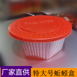 厂家直销蚯蚓盒特大杯蚯蚓养殖包装盒特大盒渔具配件蚯蚓打包盒子