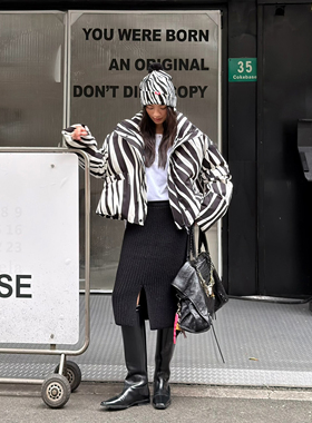 LEDIM WANG白标/斑马面包短款羽绒服鹅绒百搭外套女2025秋冬新款