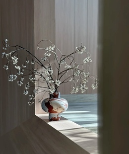 乌桕果鲜切枝小白果干养菩提果绿色小众干花意境有趣昆明直发