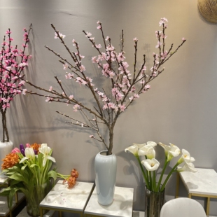 重瓣桃花枝鲜切单瓣水养插瓶花期长年宵花粉色桃花昆明顺丰直发