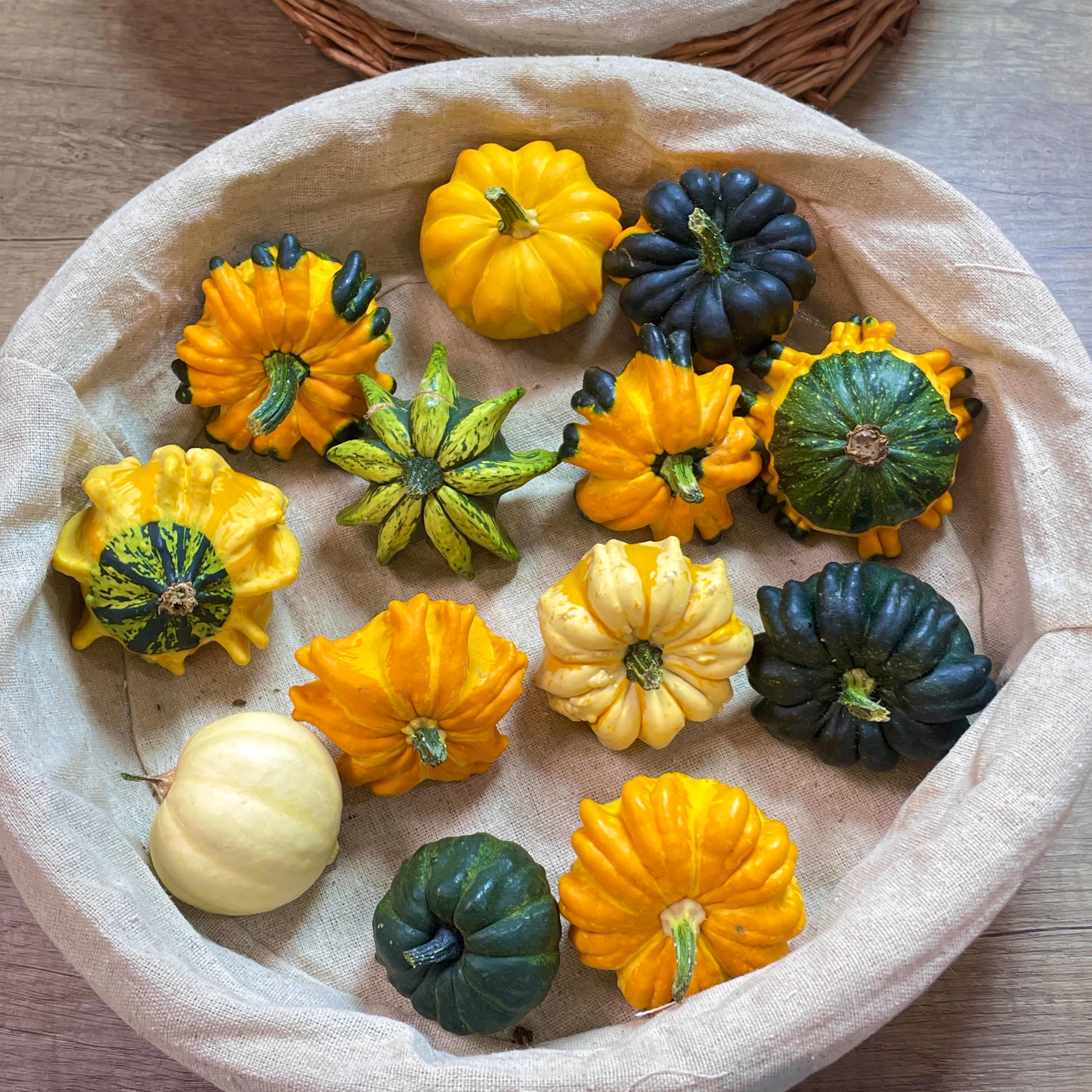 《七彩南瓜摆件》摆盘观赏墨西哥葫芦盘玩可爱个性真南瓜茶宠玩具