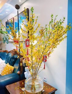 进口寸寸金鲜切枝开花金黄带芽苞黄金条年宵花水培植物家庭插花