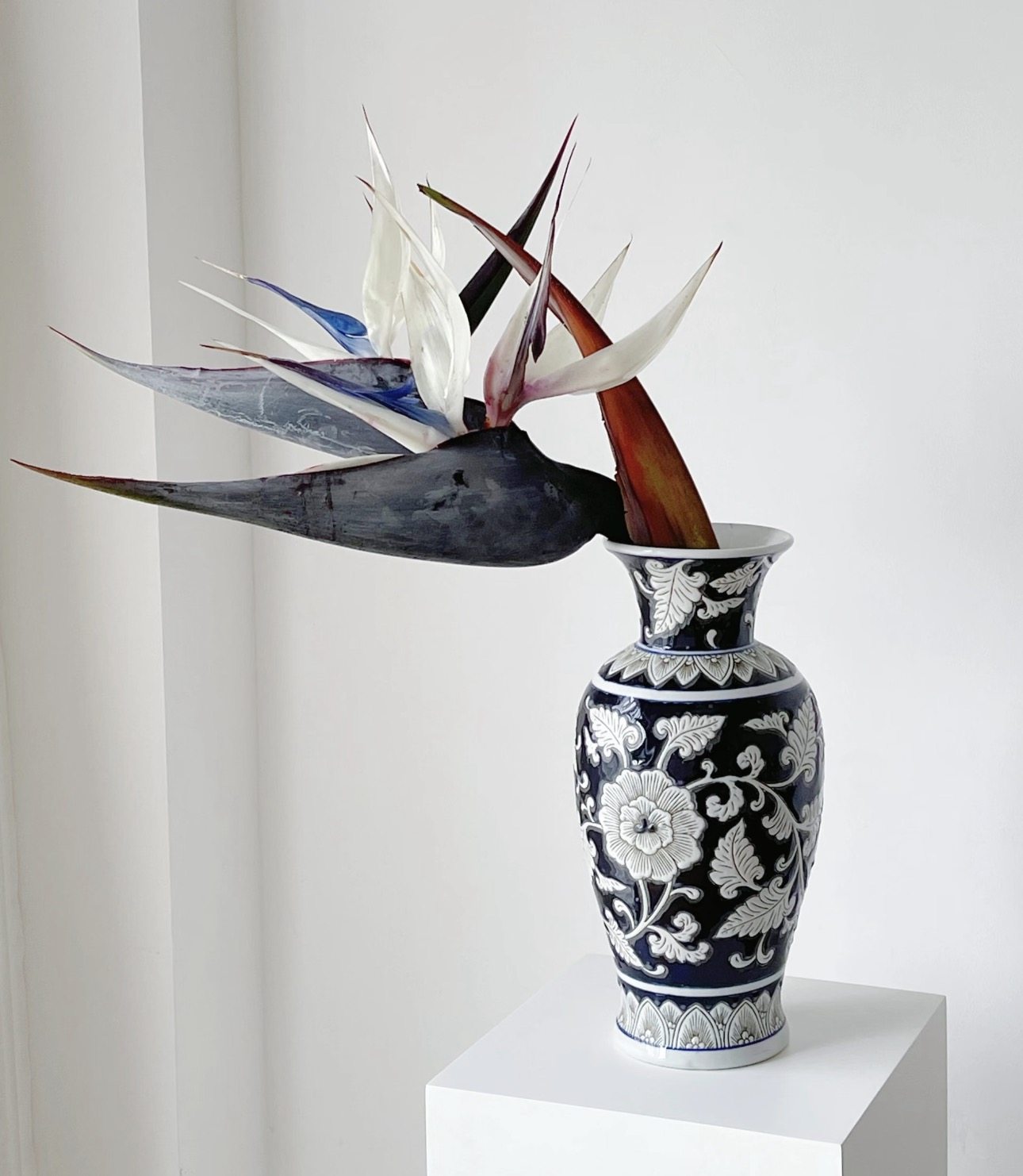 天堂鸟鹤望兰鲜花水养真花居家室内插瓶送人观赏佳品花期超长,鲜花速递/花卉仿真/绿植园艺,花材,淘宝优惠券,粉丝福利购,淘宝优惠卷