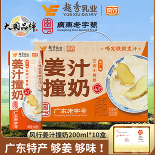 【广东特产送礼】风行牛奶姜汁撞奶200ml*10盒小黄姜送礼礼盒